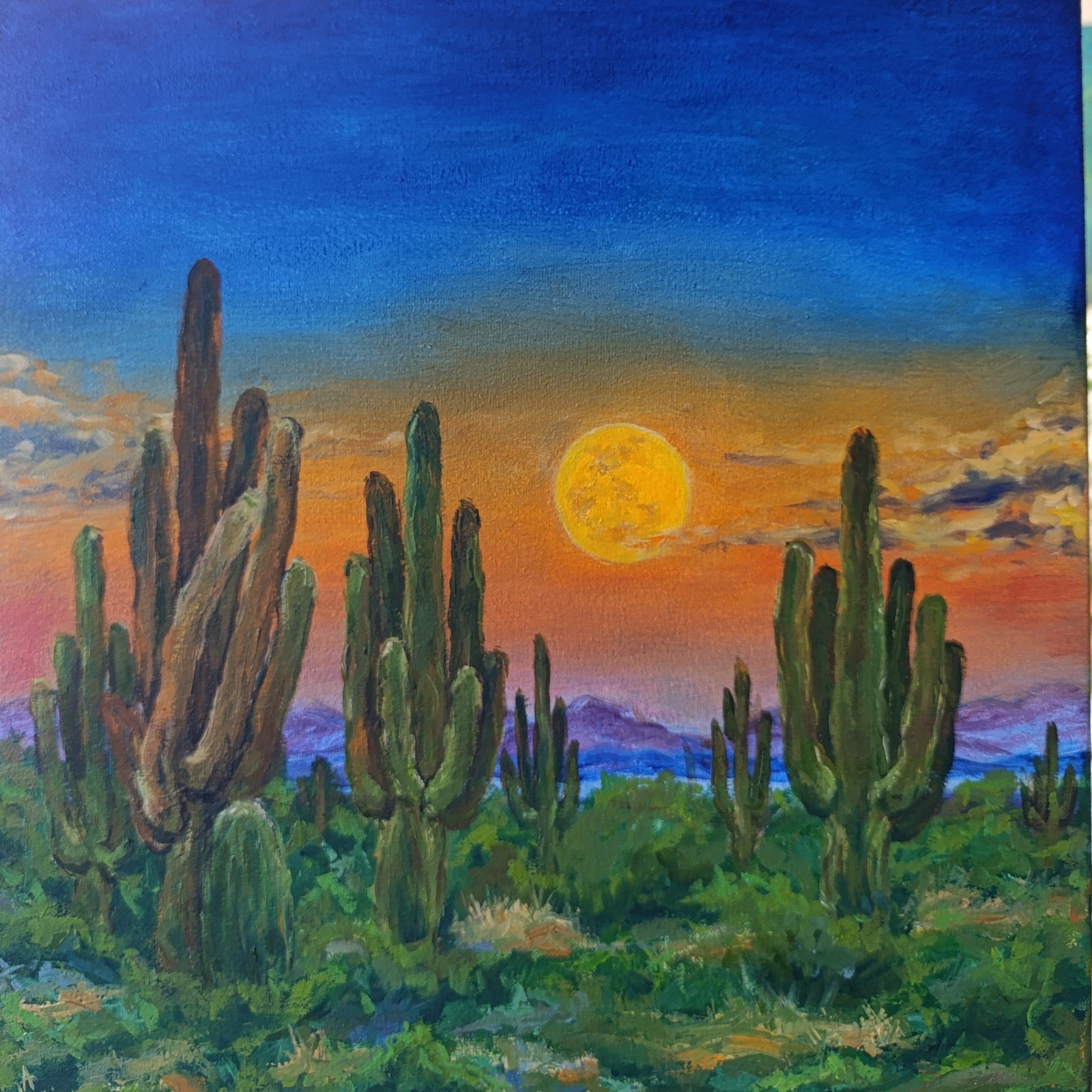 Saguaro Cactus Oil Painting Original Desert Sunset Landscape Canvas Art 14×14″