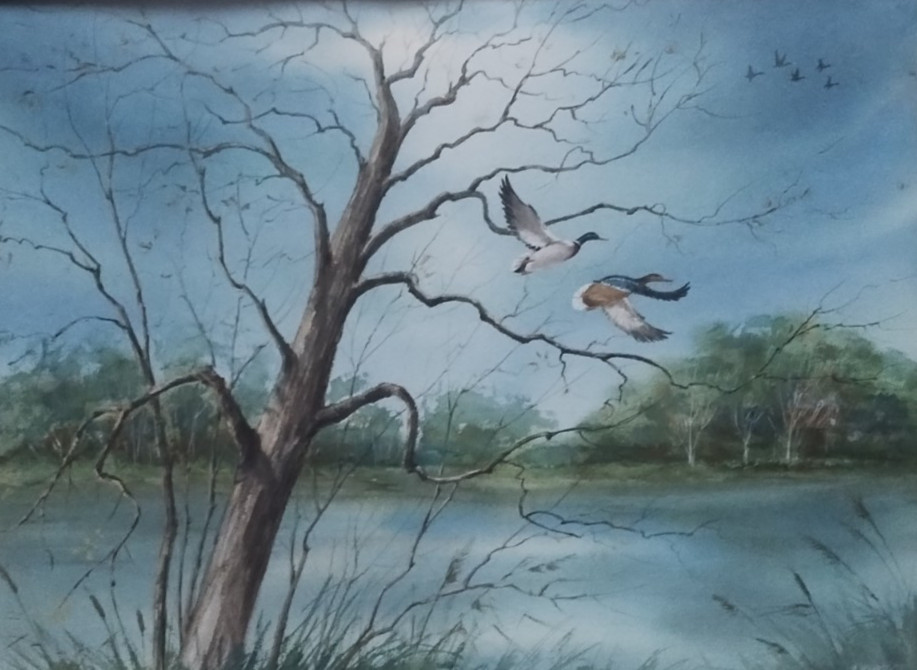 Large Sport Duck Watercolor Painting B. Wypasek 22″x29″ Well done Wildlife Art
