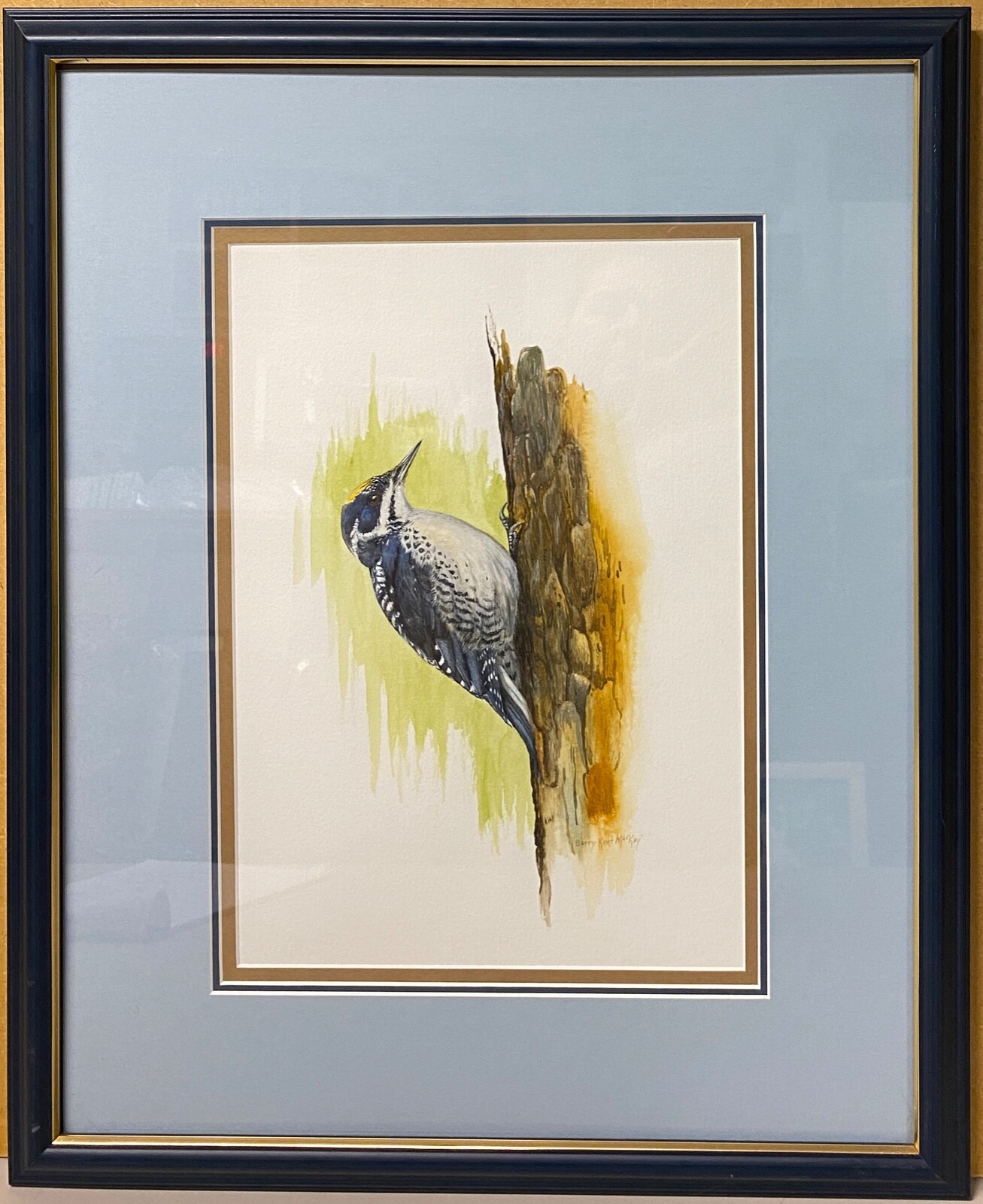 Original Bird Art Painting – Arctic Woodpecker by Barry MacKay, Signed, Framed