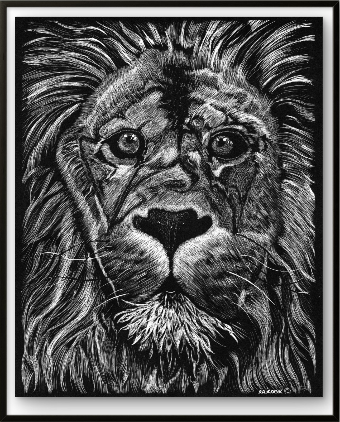 This is a PRINT of ORIGINAL FINELLI framed Scratch Board LION signed 1974 G11A