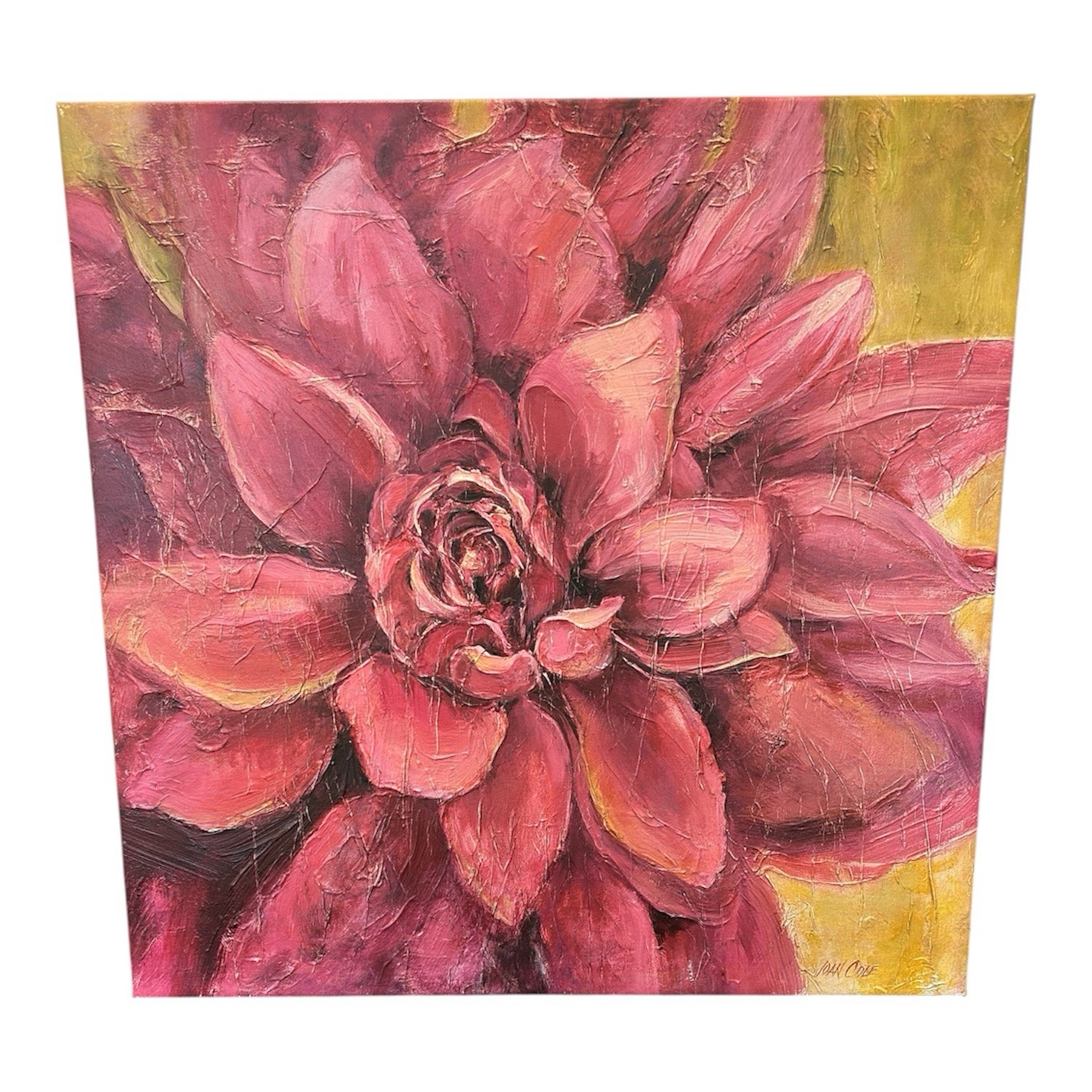 Joan Cole Original Textured Oil Painting Floral Dahlia Canvas Pink 22×22 WallArt