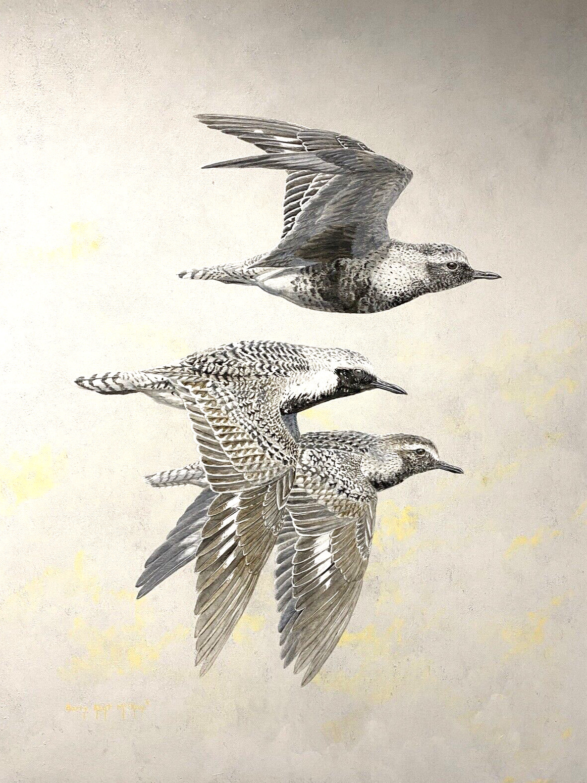 Original Bird Art Painting – Black-bellied Plovers by Barry Kent MacKay, Signed