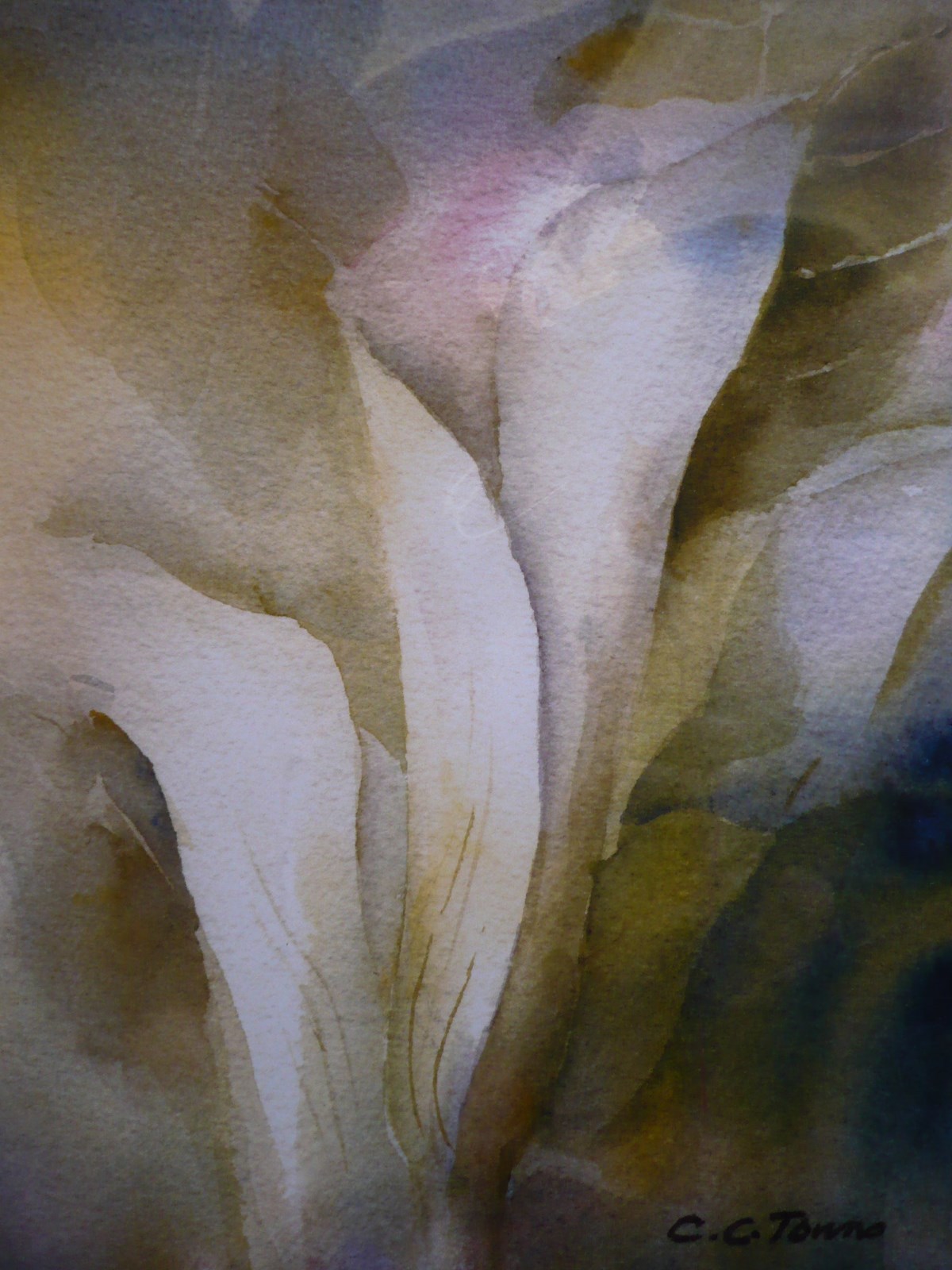 CONNIE TOWNS, COLORISM COLORIST WATERCOLOR FLOWER FLORAL CALIFORNIA CALIF CA ART
