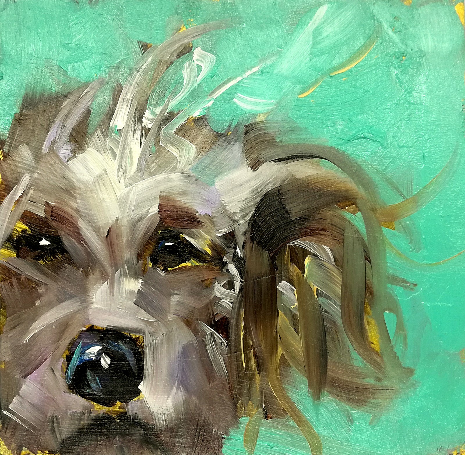 Original Oil Painting Dog Puppy Animal Pet Portrait Impressionism MADE TO ORDER