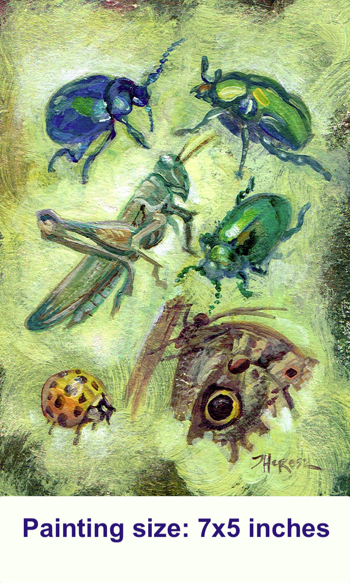 Insect Moth Ladybug Beetle Grasshopper Bug 5×7 Original Acrylic Art TBARTSARTIST