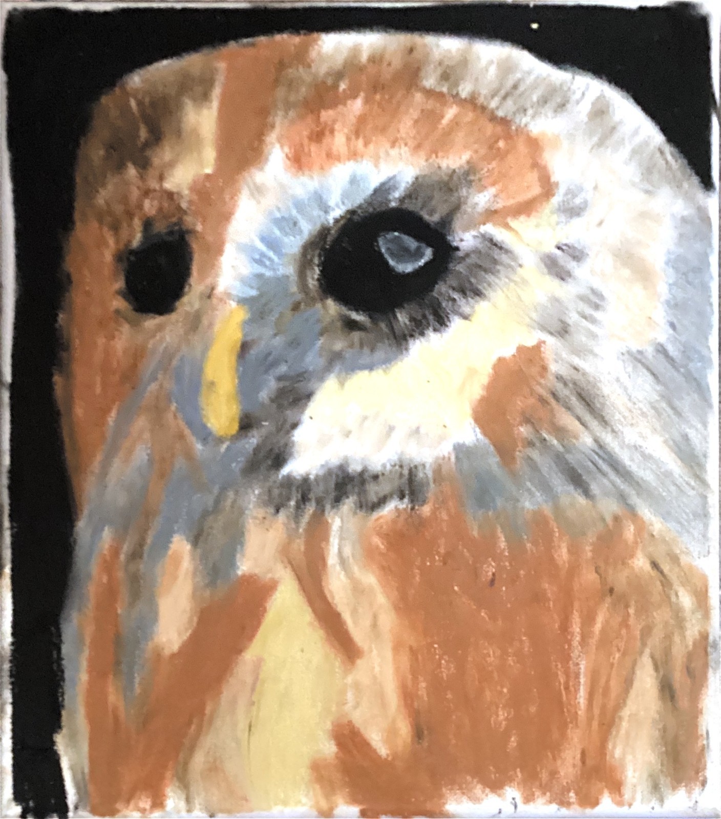 Abstract Expressionism Original Barn Owl Animal Face 11 by 14 Canvas