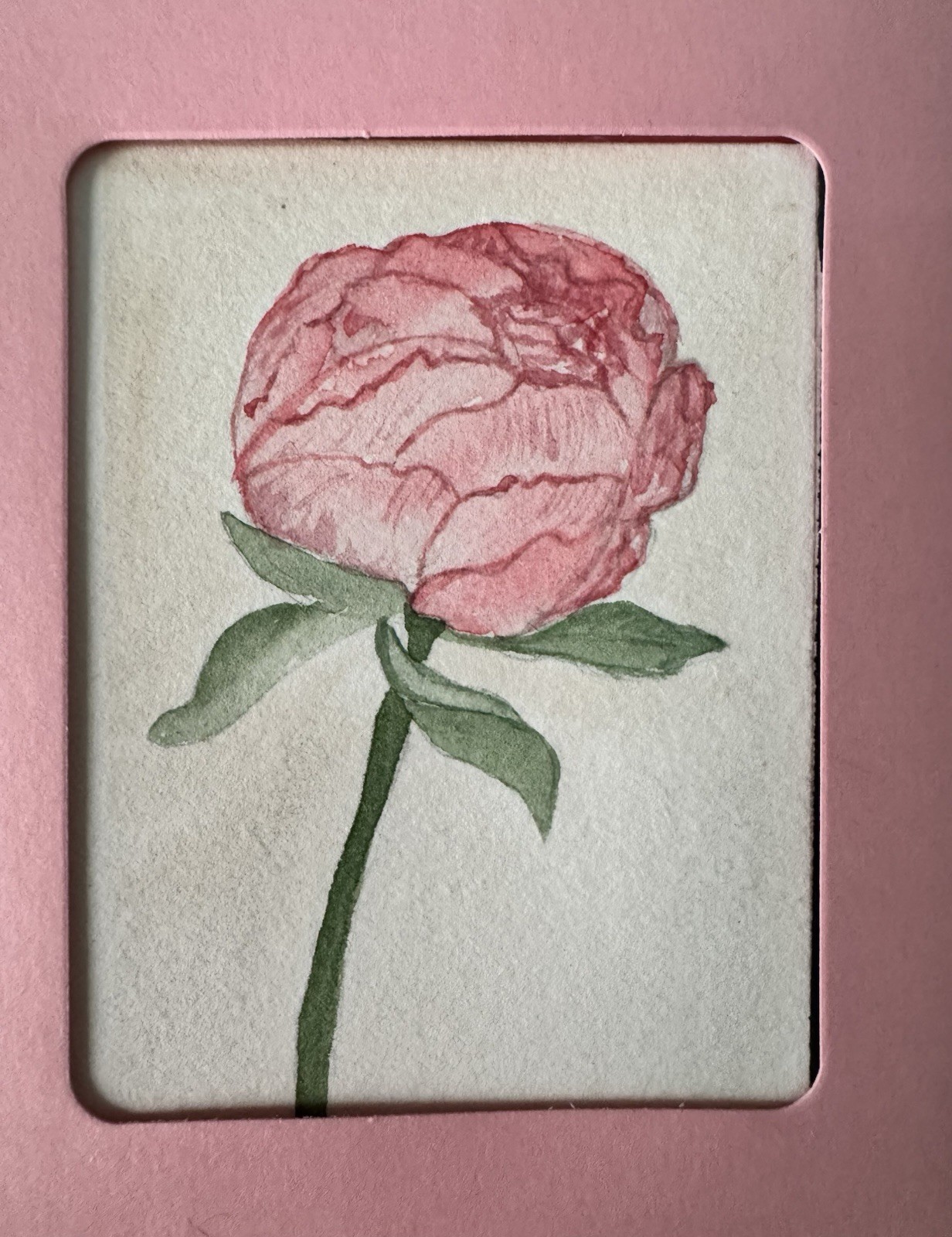 ACEO “Pink Peony For Me” Watercolor By DBossert Features Floral Peony