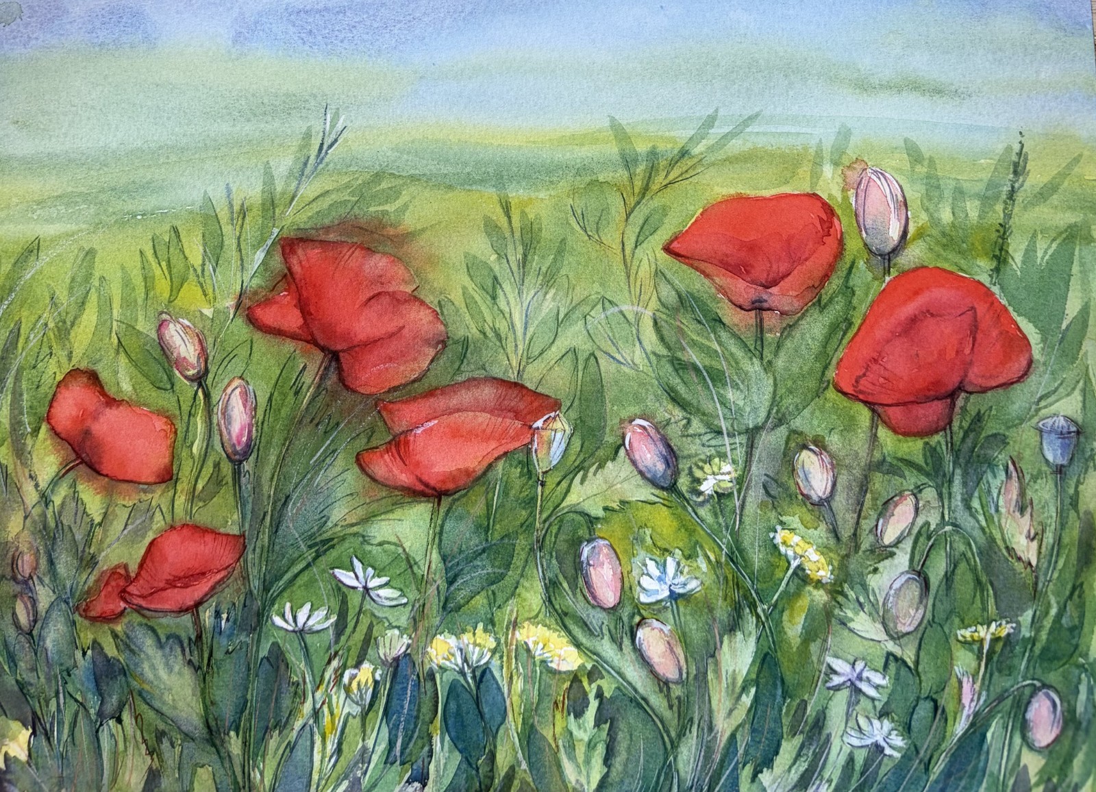 Original Watercolor Poppy Meadow Painting, Red Wildflowers Landscape Floral Art
