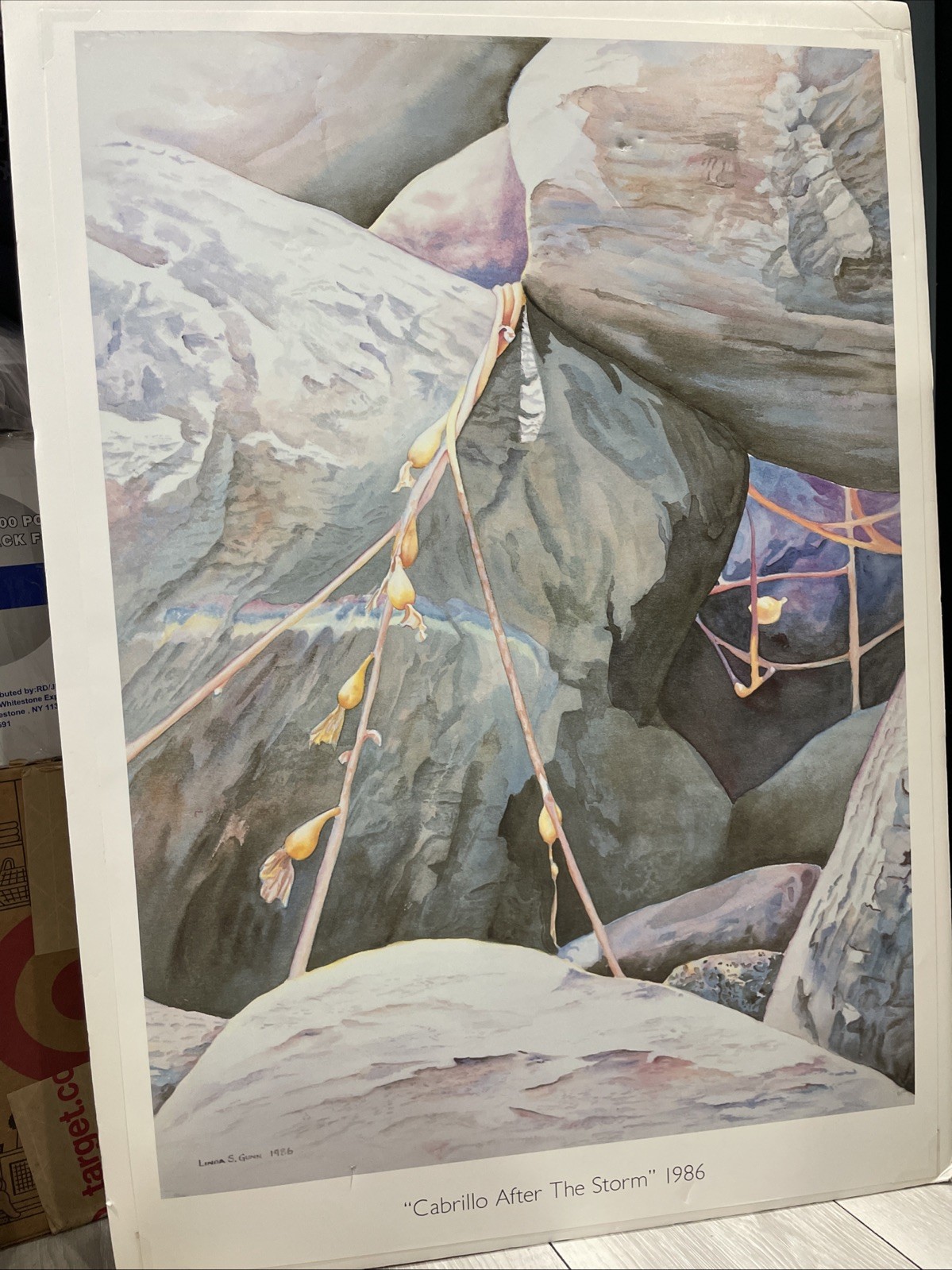 Cabrillo «After The Storm»1986 California Signed Linda Gunn 28.5″X20»