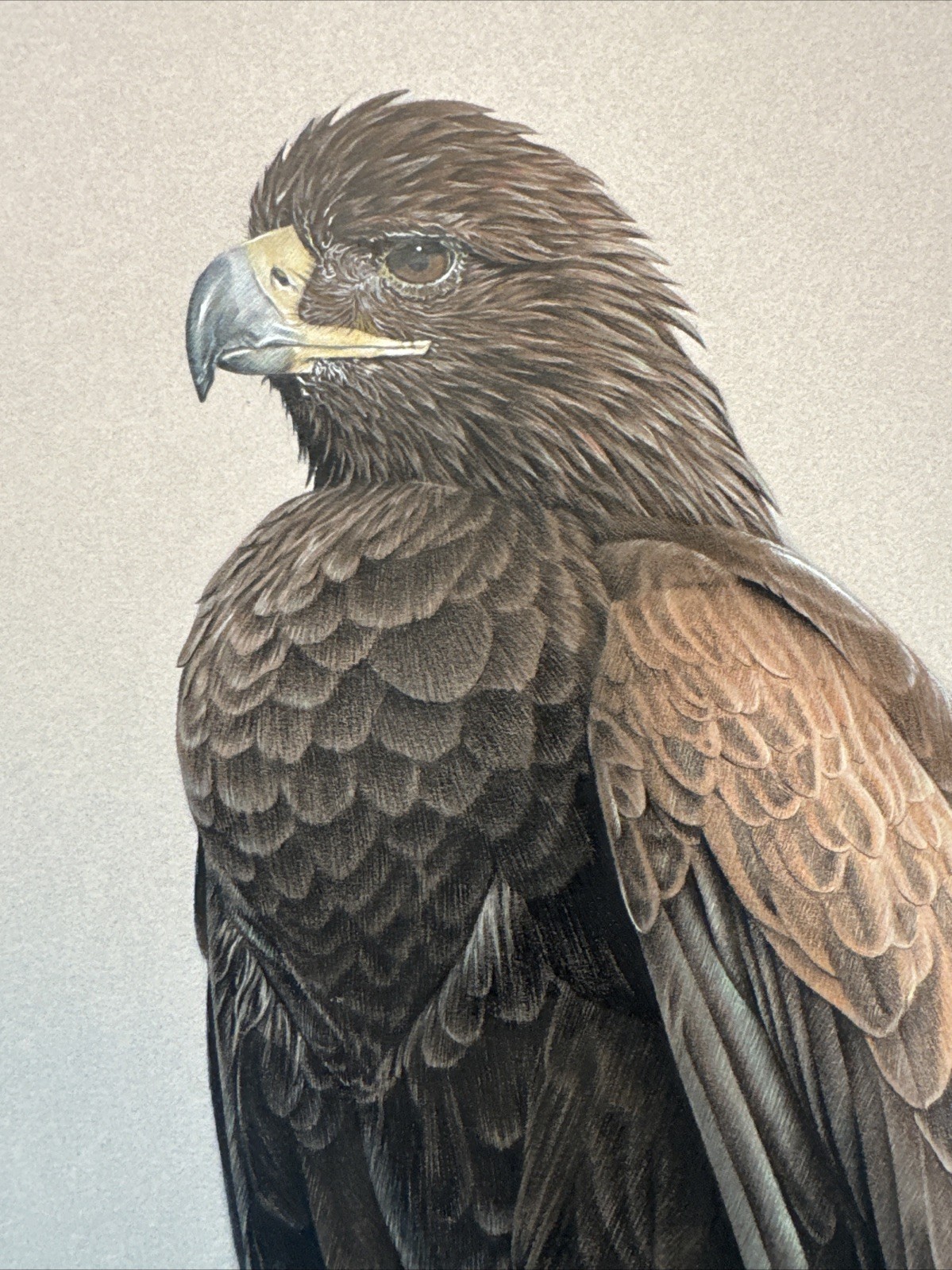 REALIST PAINTING EAGLE BIRD REALISM LARRY HUNT EXHIBITED NATURE WESTERN ARTIST