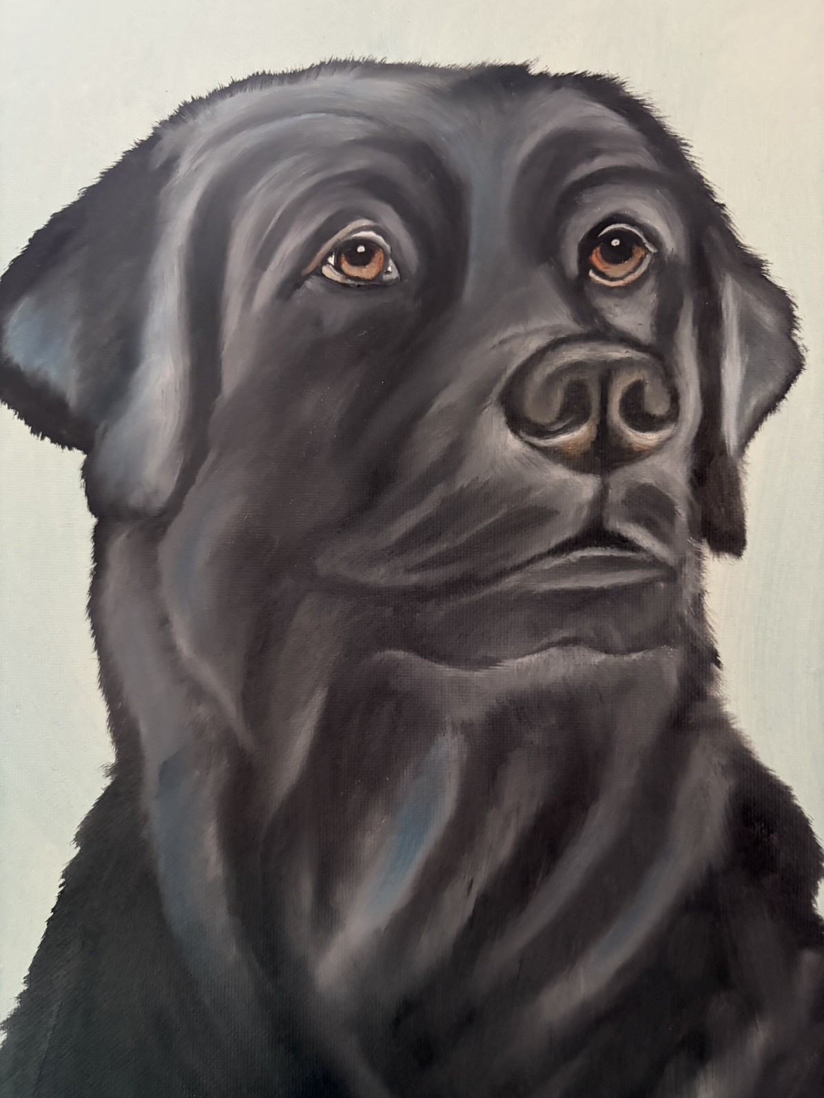 Original oil painting 11 x 14 inches handsome black Labrador retriever dog