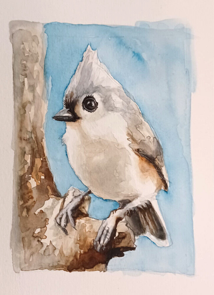 Original Watercolor Painting 6.15 X 4.75 Tufted Titmouse Bird Art Print