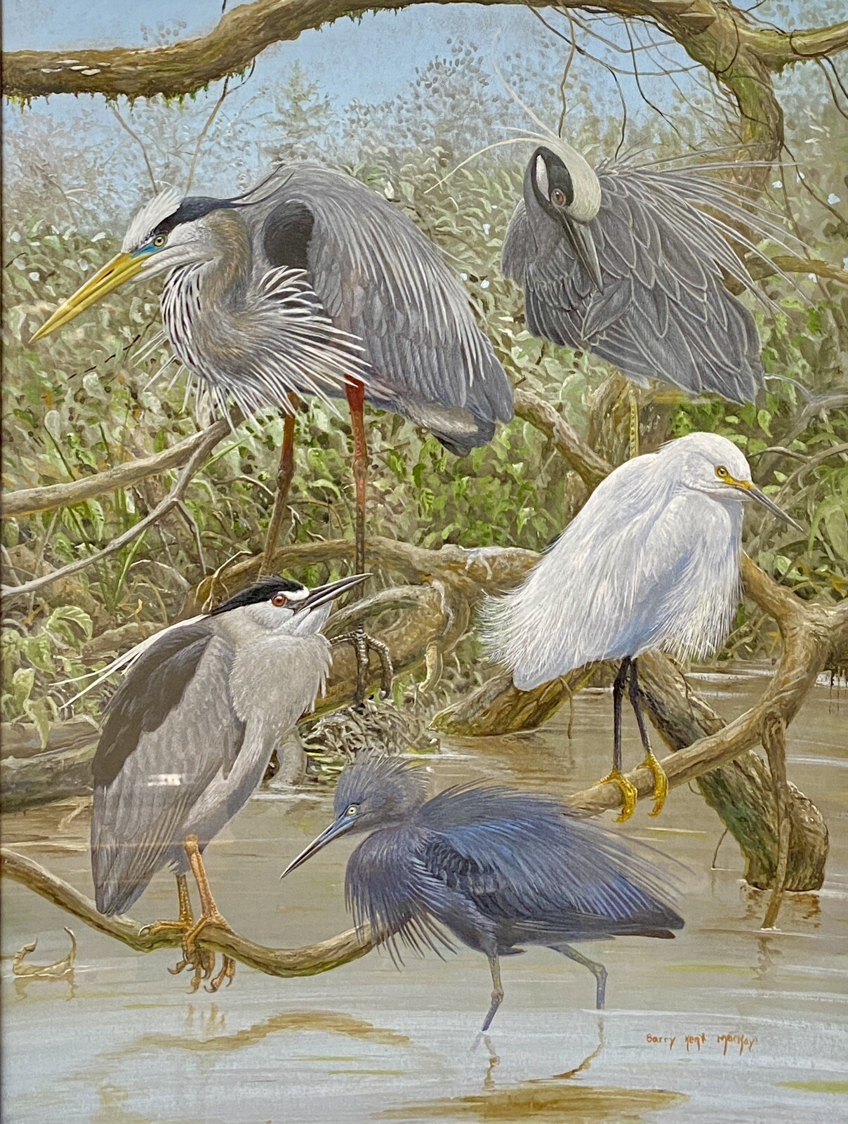 Original Bird Art Painting Herons by Barry Kent MacKay-Canadian, Signed, Framed
