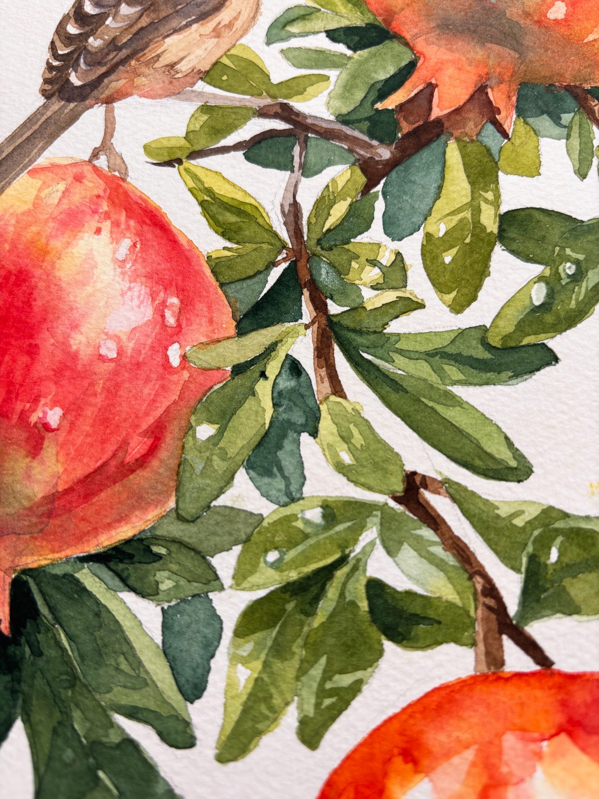 Original 11.7 x 16.5 inches Watercolor Painting «Two Birds in Pomegranate Tree»