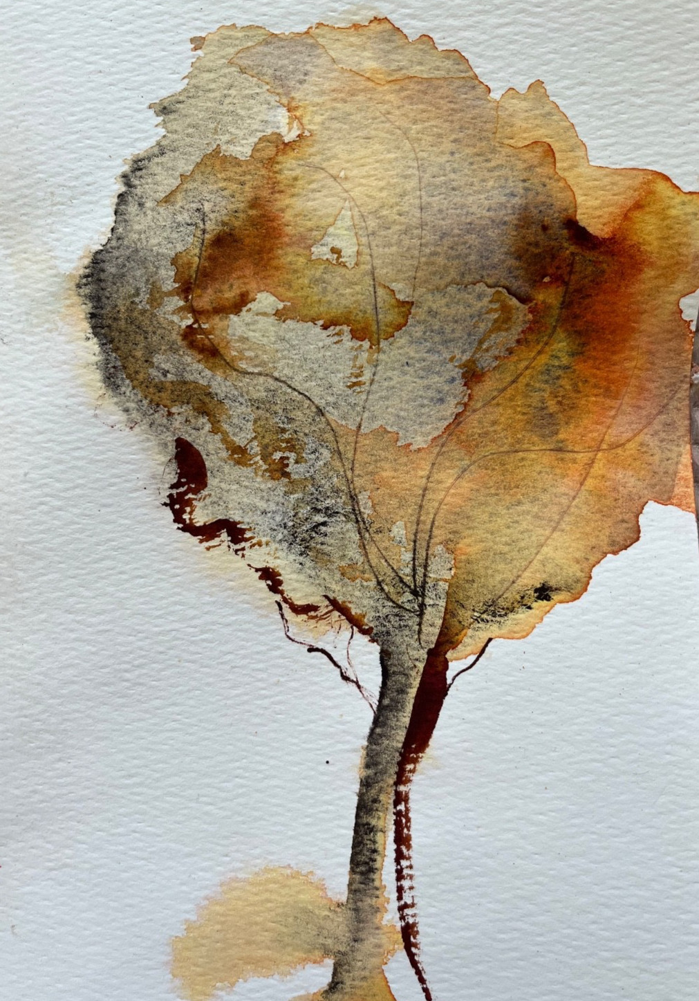 Original abstract watercolor painting of an autumn tree signed by artist. OOAK