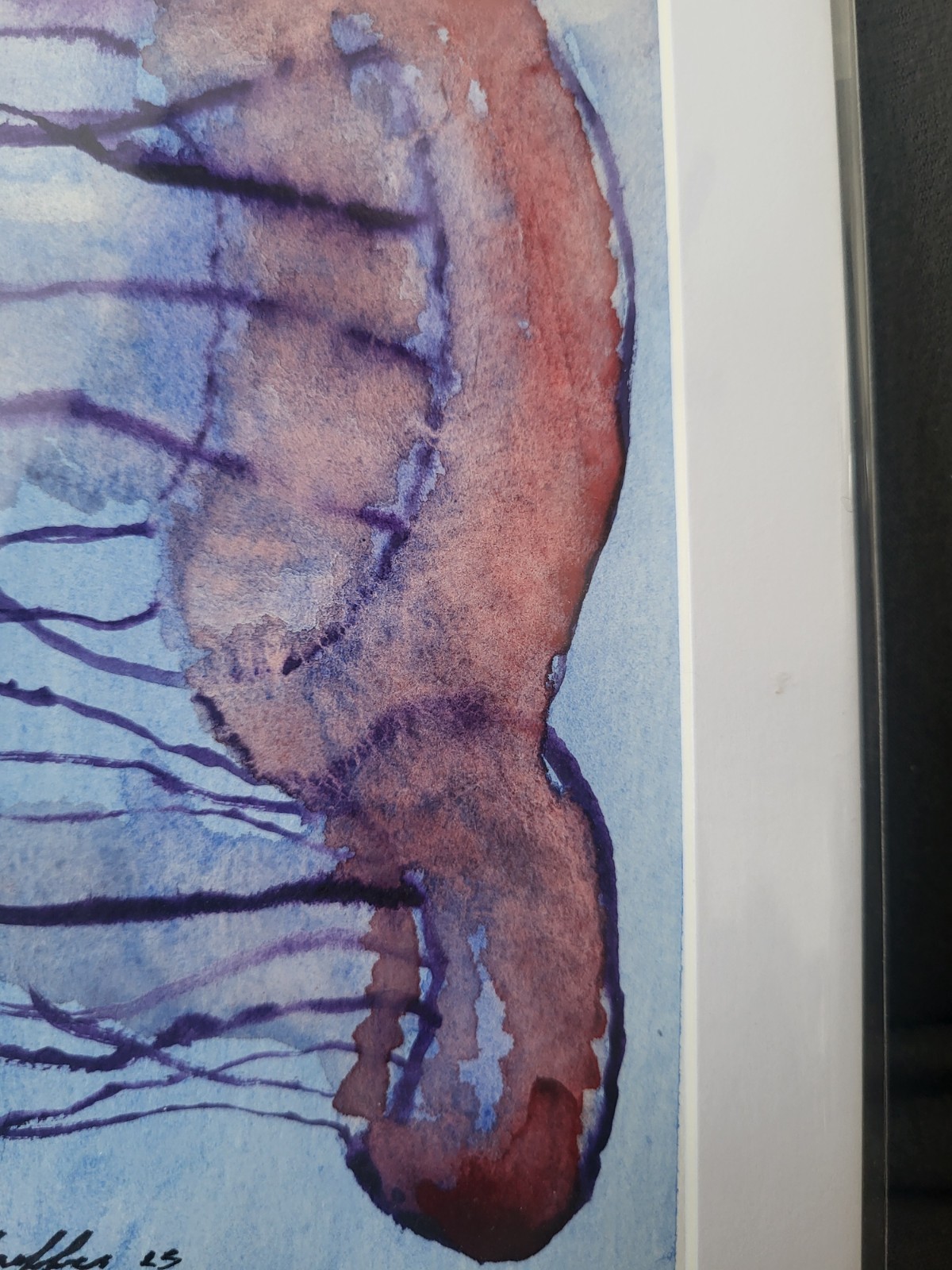 Framable Note Card Original Schaffer Watercolor Jellyfish Matted, Signed 7×5