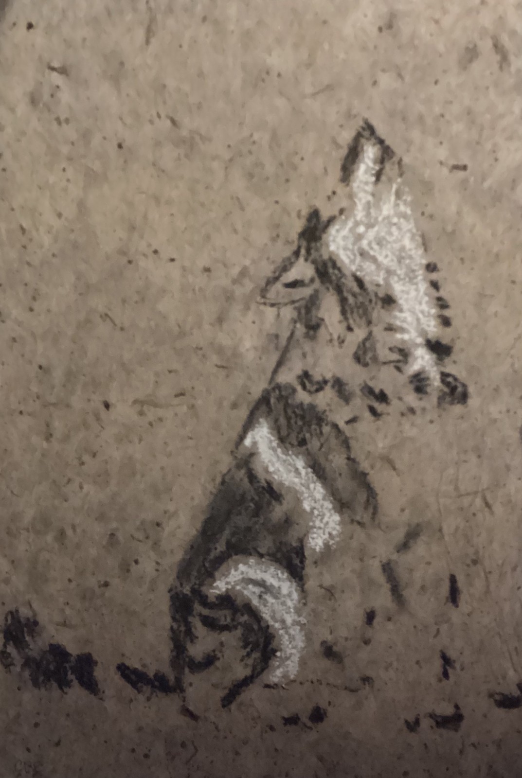Wolf Chinese Styled Textured Handmade Mulberry Paper 11×15 Original Art