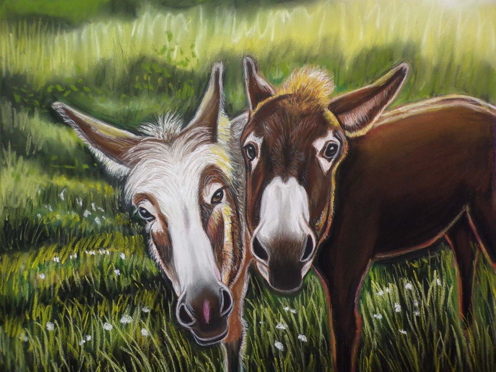 Donkey Original Painting