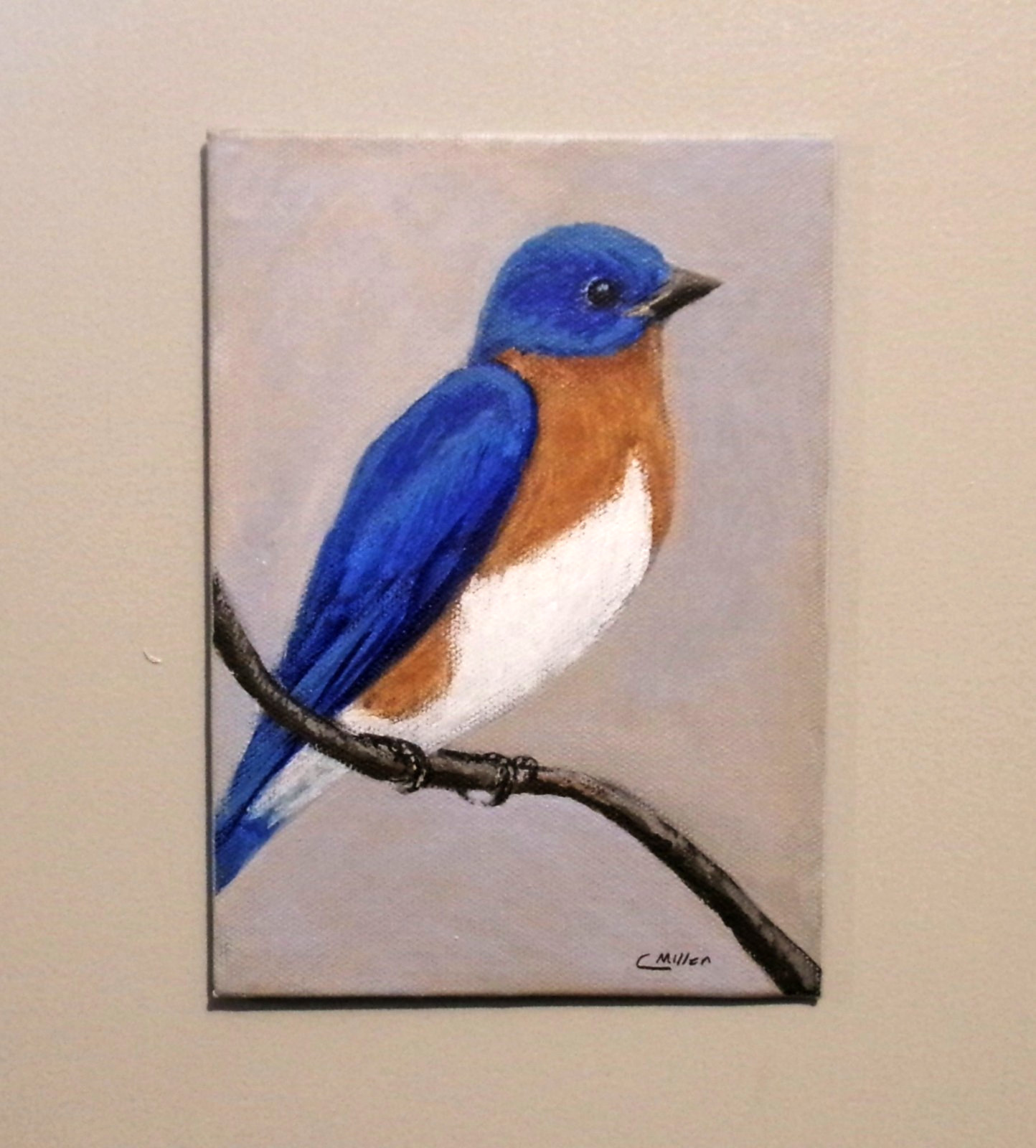 Bluebird Original Bird Painting by Chris Miller 5×7 Wildlife Fine Art Decor
