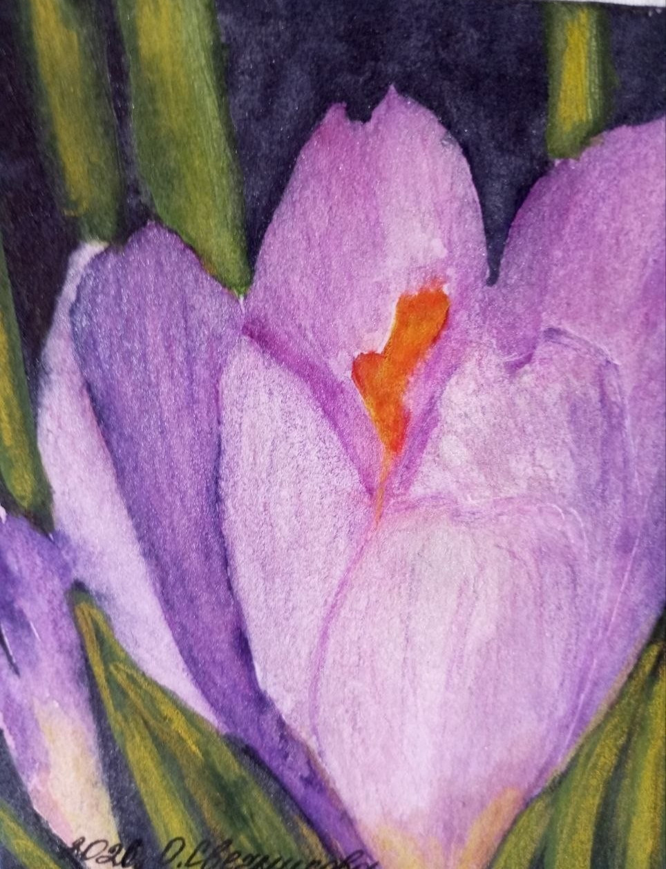 original watercolor painting PORTRAIT OF A LILACURE CROCUSS 12,1×9,9cm art gift.