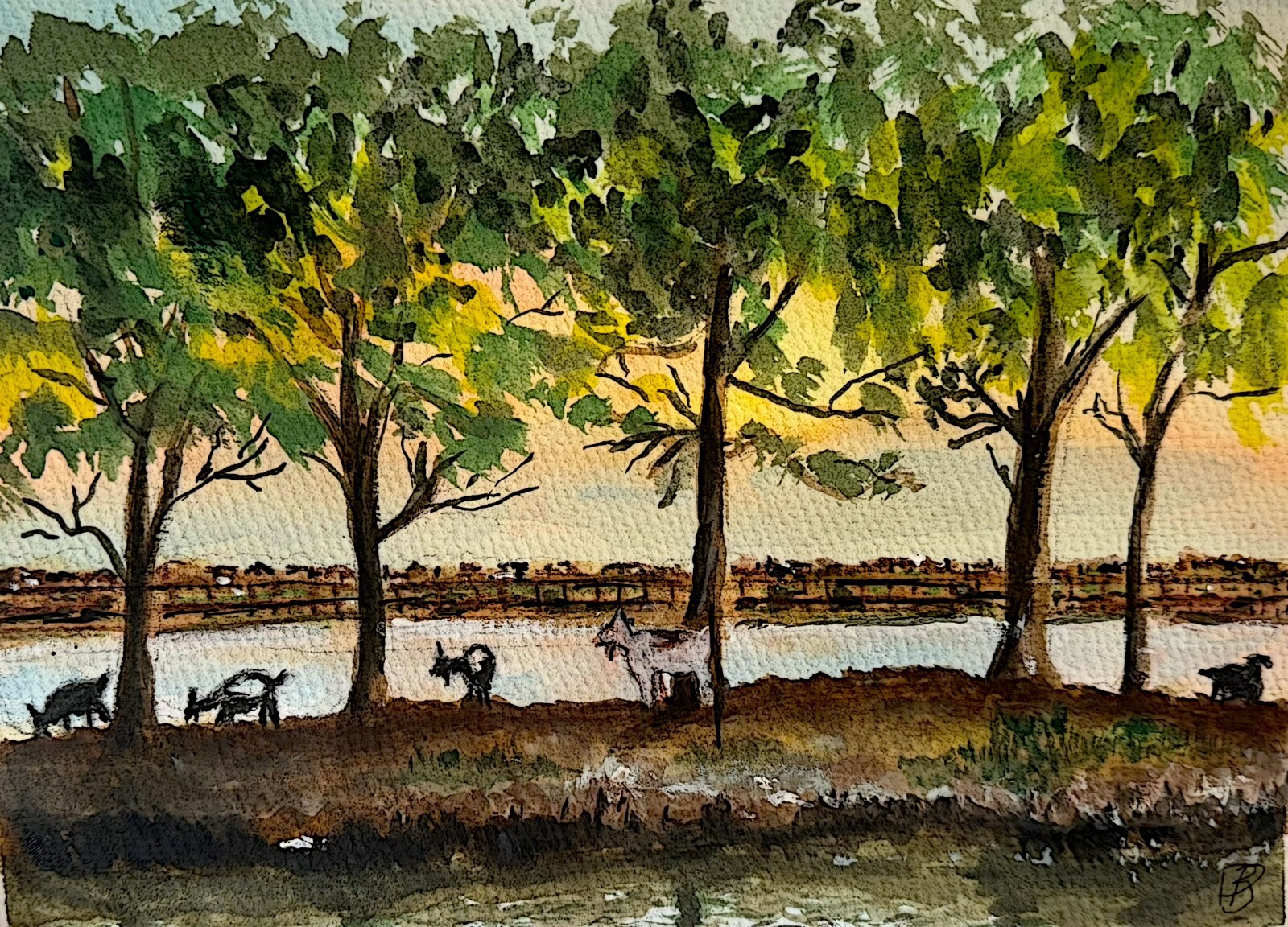 Limited Watercolor Print/Goat Island Marshwalk, Murrells Inlet SC – 9×11 Framed