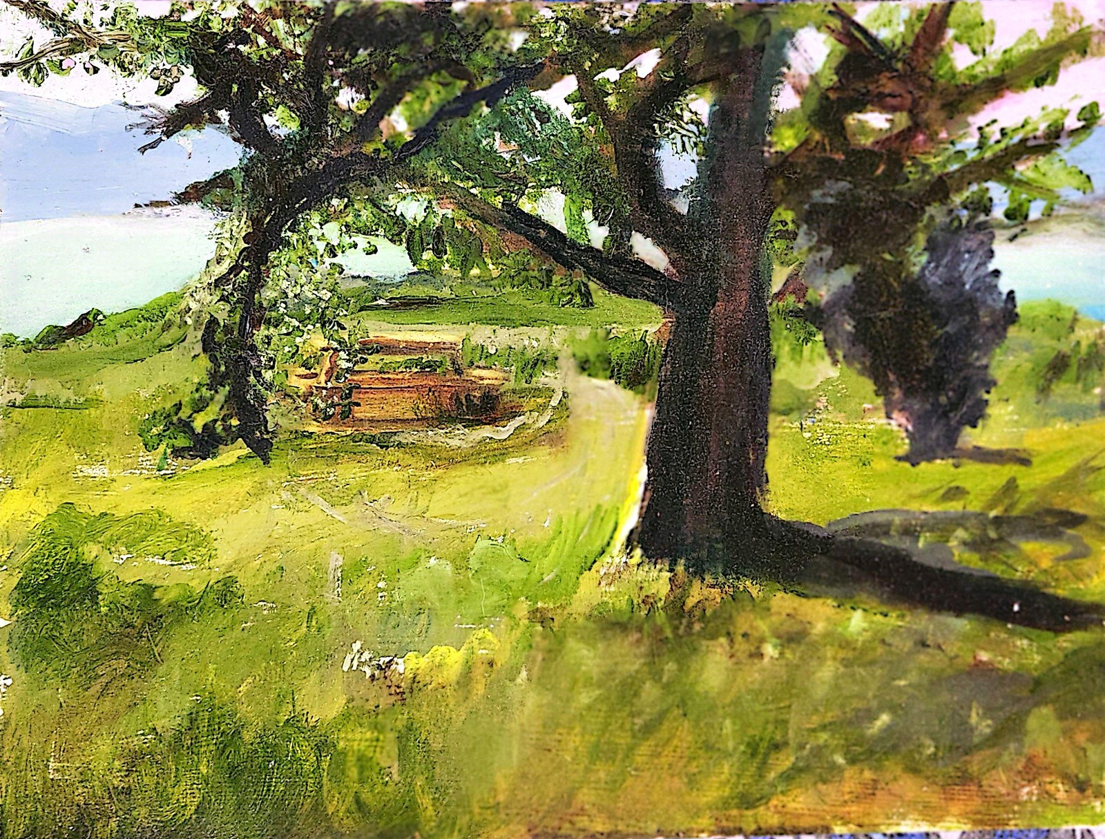 Lodi Point State Park Contemporary Expressionist Original Oil Painting 12×16