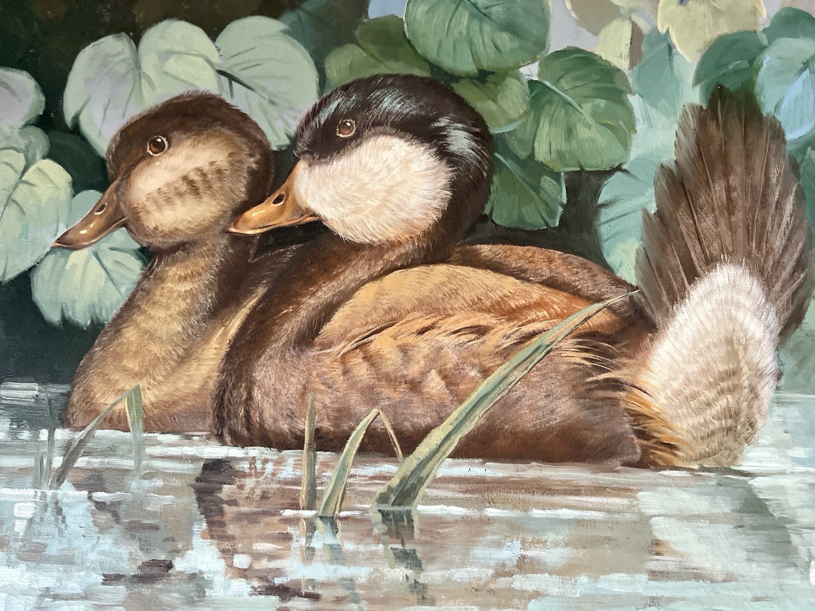 Vintage Oil Painting Ruddy Ducks Signed F. John Framed 20×24 Wildlife Art