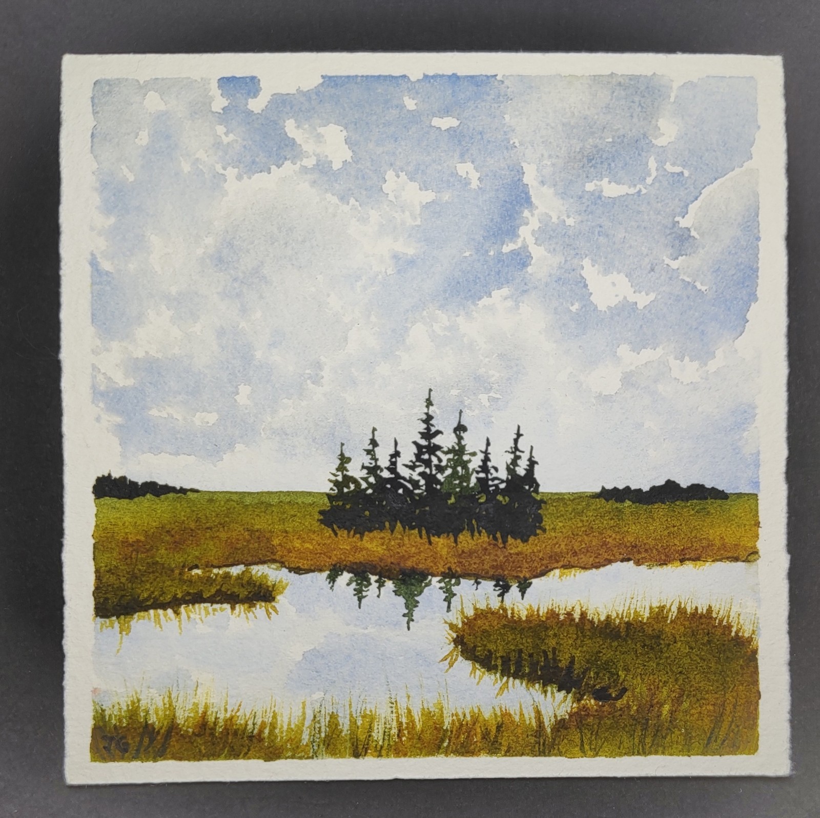Watercolor Landscape Painting on Paper Trees Sky Marsh Water Unframed