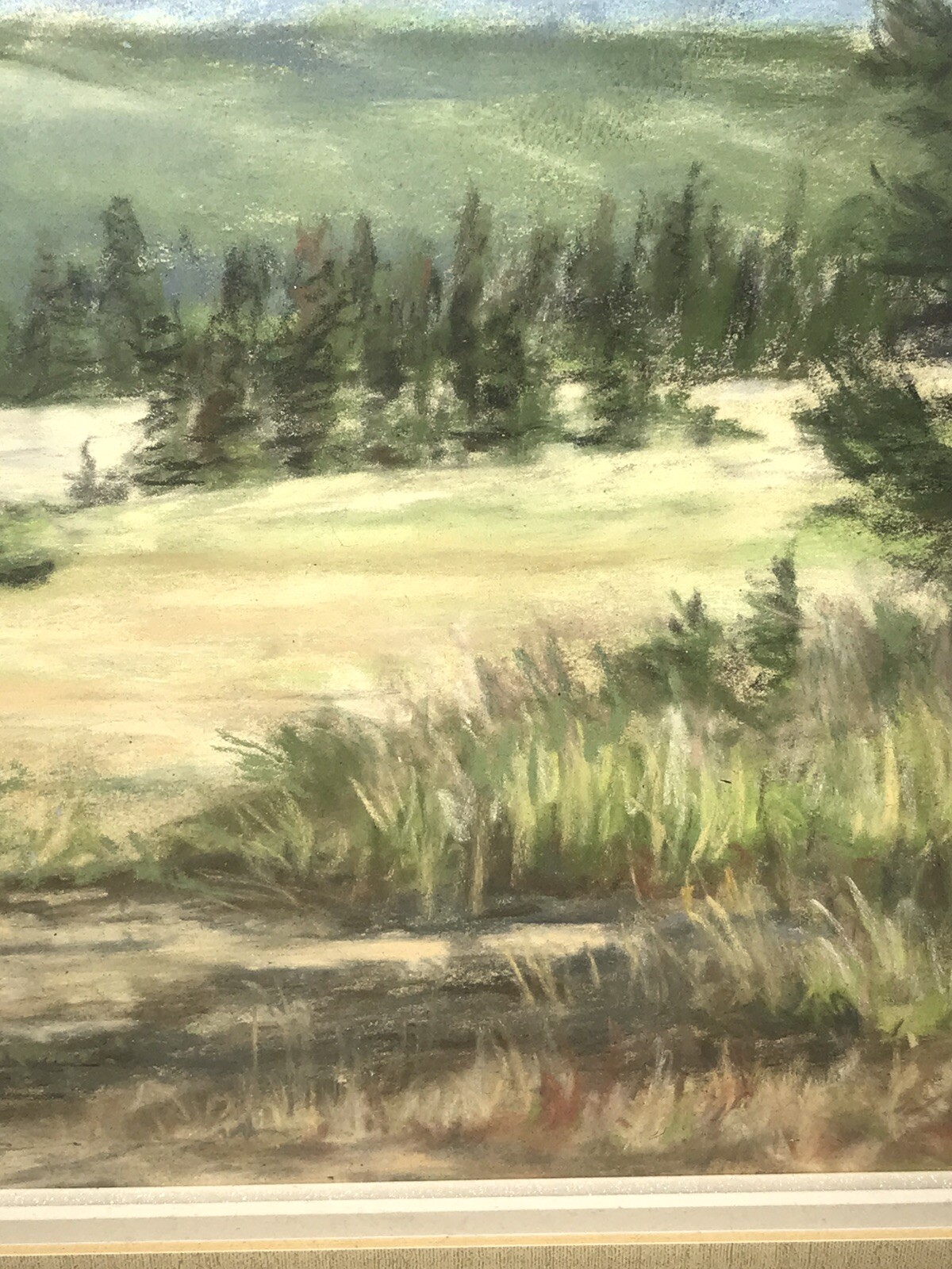 Original Medicine Bow Nat’l Forest Pastel Susan Driver Framed 17 1/8×21 1/8 WY
