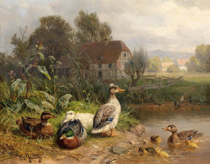 Art Print Decor Duck by the pond s Wall Giclee oil painting printed on canvas