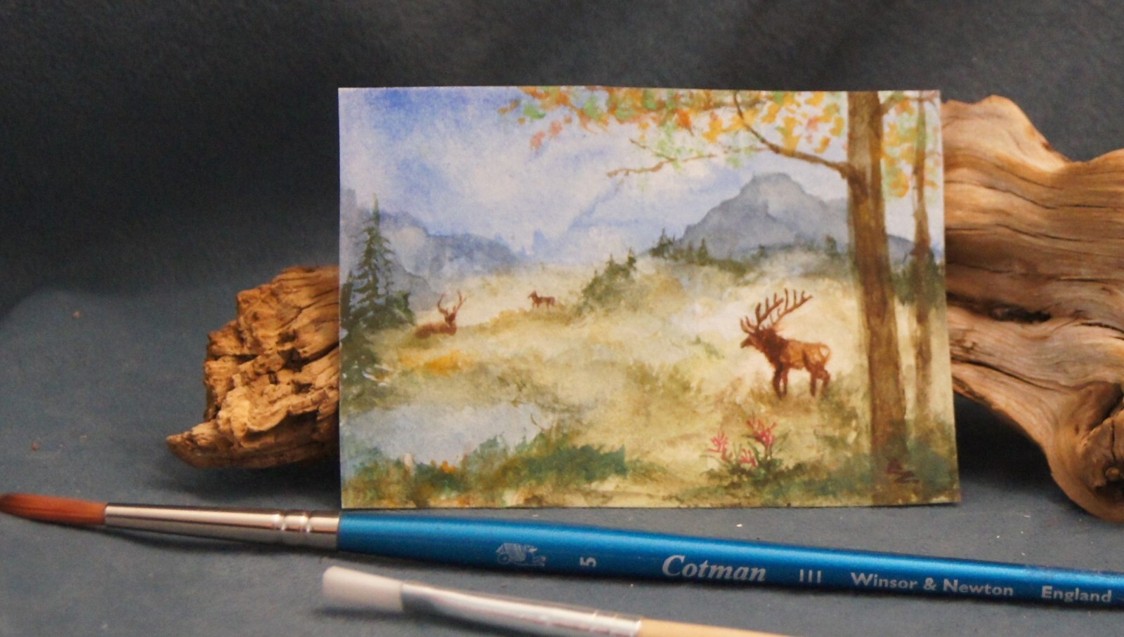 ACEO- Watercolor, Mountain Autumn Landscape w/ Elk, Mini 2.5″ x 3.5″ Painting