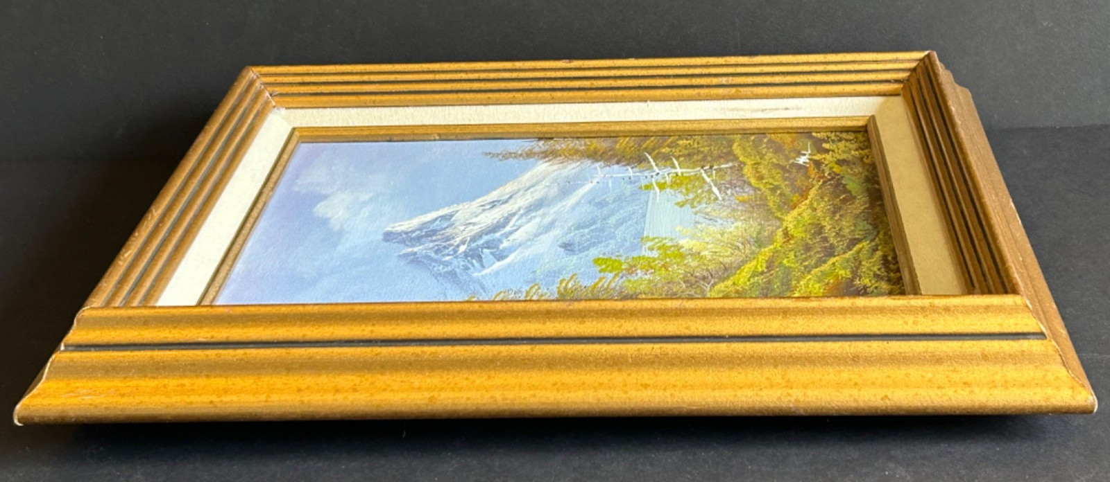 Artist Signed Framed Oil on Canvas Painting Of Mountains And Trees Landscape