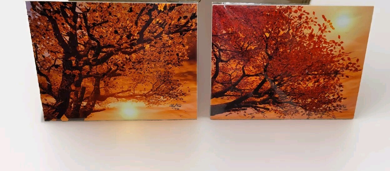 2 Alan Foxx Hand Signed Fantasy Art Painting Limited Edition PRINT Twilight