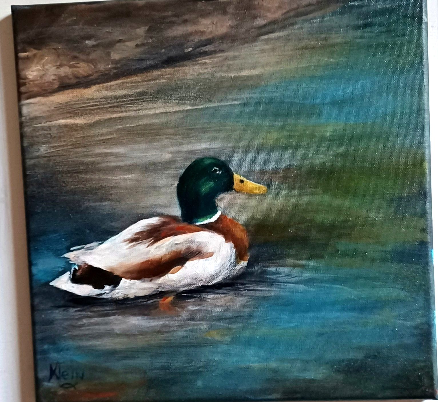THE MALLARD 12×12 Oil on Canvas Duck Art Wildlife Painting by US Artist Klein
