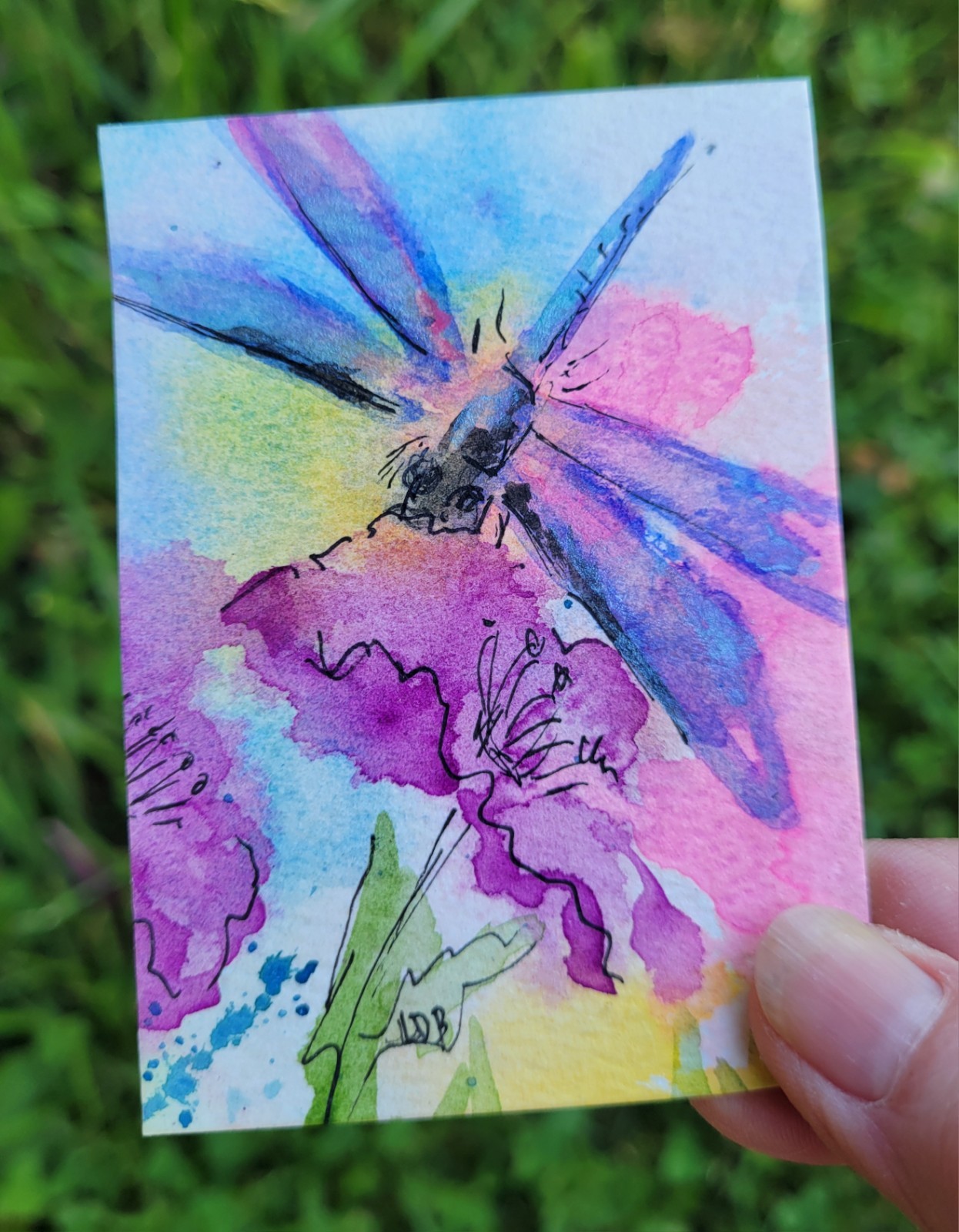 New ACEO Garden Watercolor Dragonfly Flowers Floral Nature Insect Botanical
