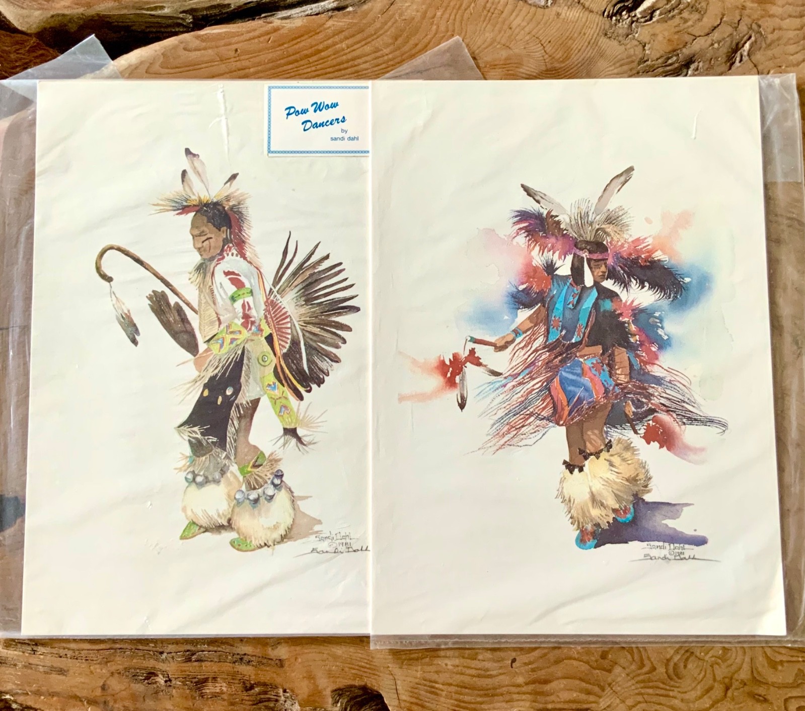 2 Vtg Sandi Dahl WaterColor Art Prints Native American Pow Wow Dancers Signed