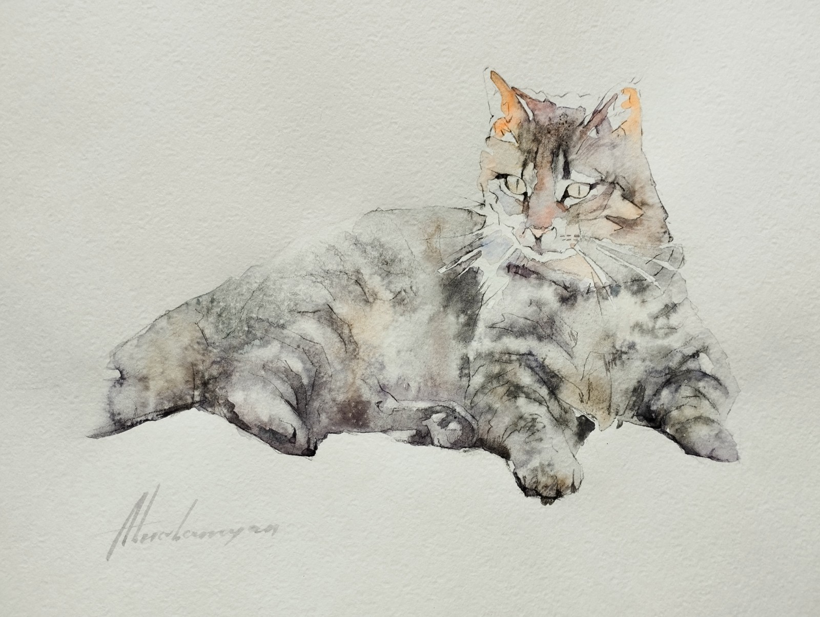 Cat, Animal, Watercolor artwork, Handmade, Original painting on paper
