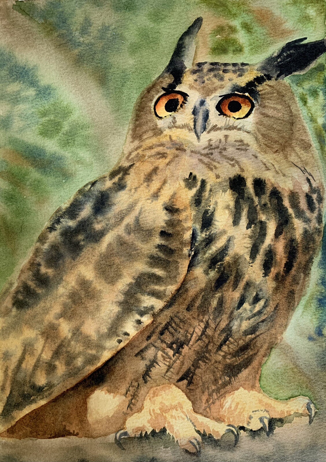 Made to order Original watercolor painting Flaco the Owl of Central Park NYC RIP