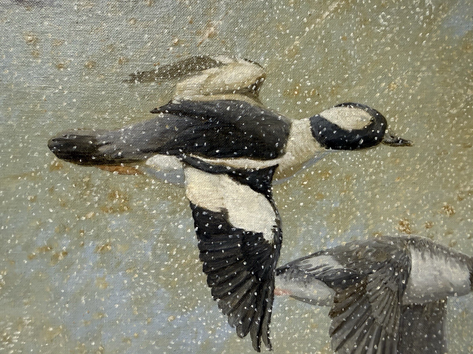 Barry Kent MacKay Original Bird Art Painting Bufflehead Ducks, Signed, Unframed