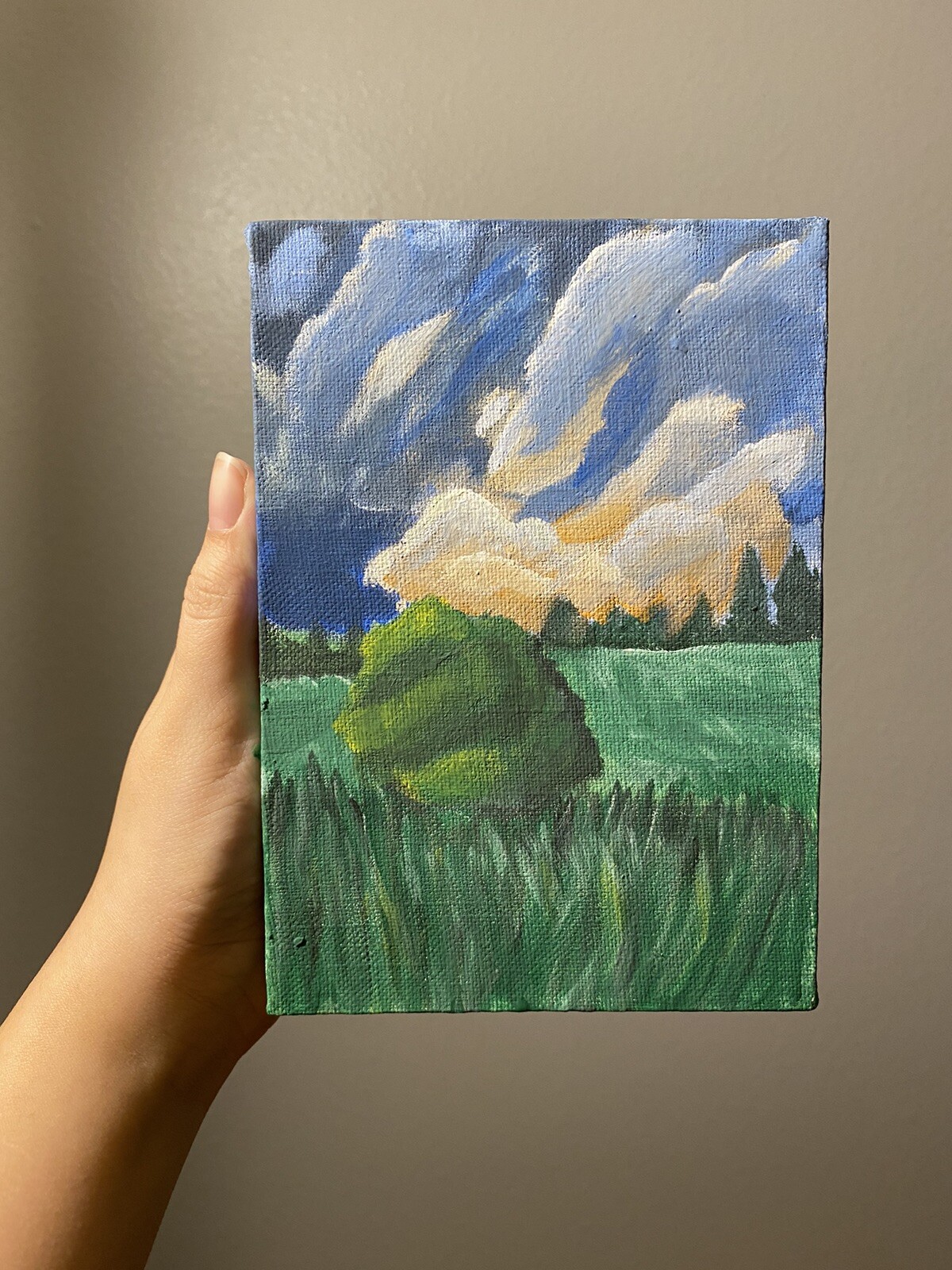 Original Acrylic Painting On Canvas Landscape Clouds 7 X 5 Art Nature Decor