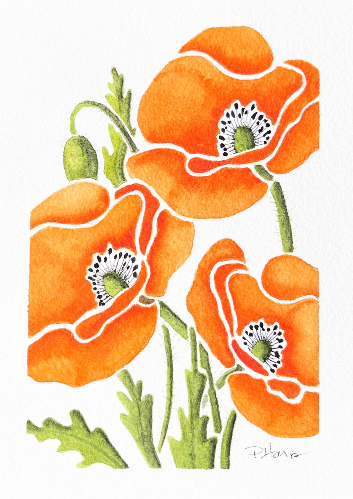ORIGINAL Watercolor Painting – Orange Poppy Botanical Art by PHarp Watercolors