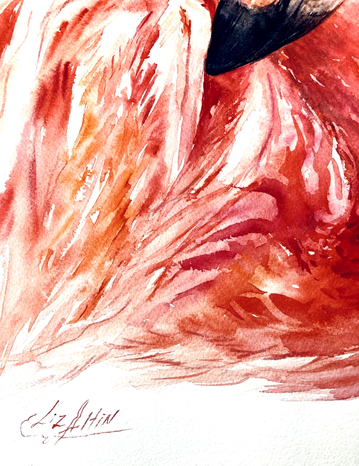Flamingo Watercolor Original Painting Florida Birds