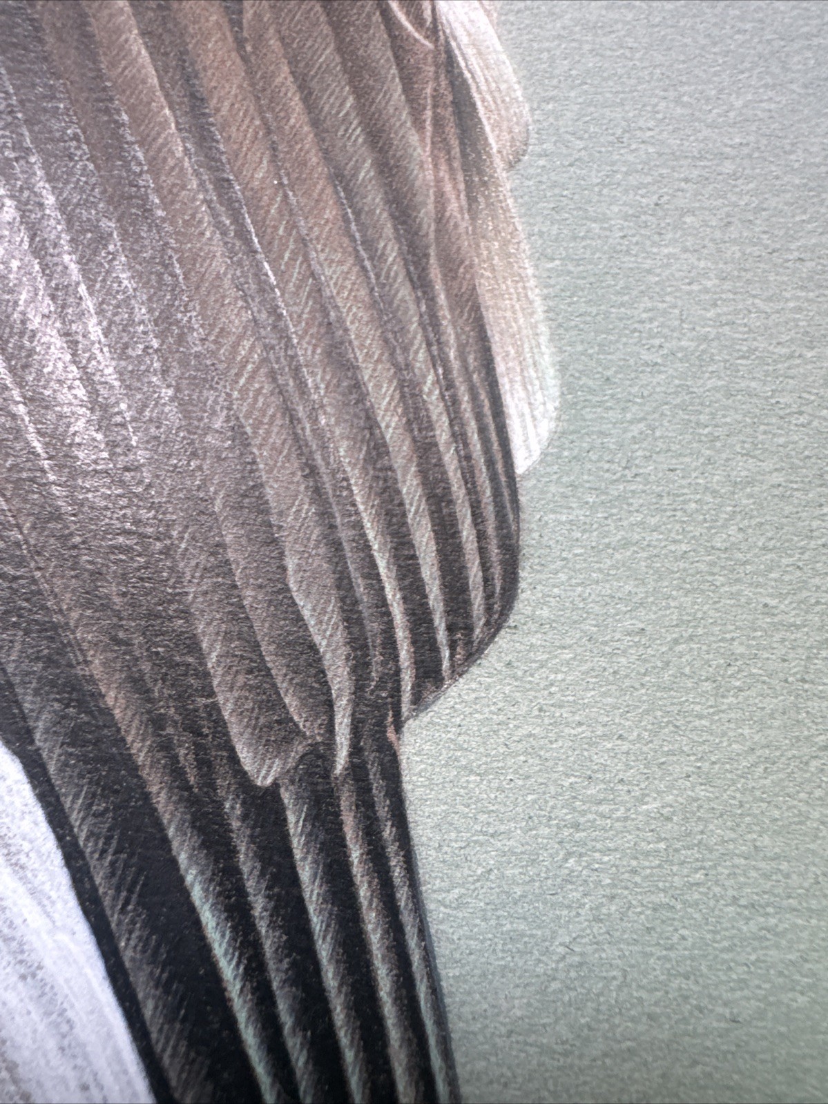 REALIST PAINTING EAGLE BIRD REALISM LARRY HUNT EXHIBITED NATURE WESTERN ARTIST
