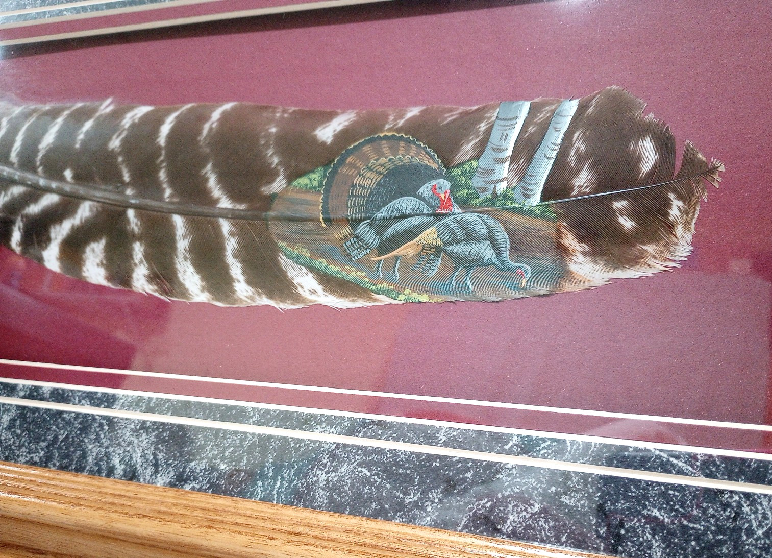 Beautiful Framed Hand-Painted Wild Turkey Feather Wildlife Art, One of a Kind