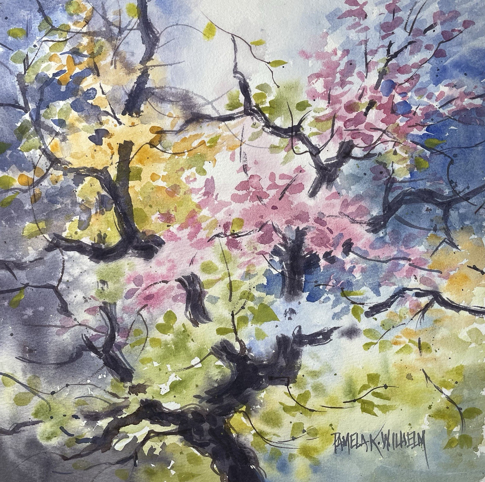 Pamela Wilhelm original 10×10” Watercolor Pink Blossoms On Twisted Ancient Tree
