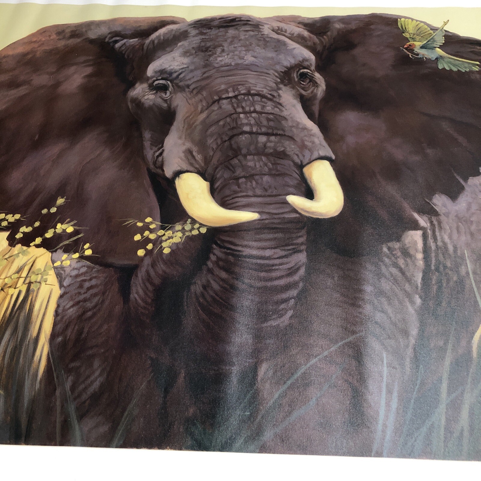 International Galleries Giclee Print Canvas Elephant Painting C. Cherry 29X39”