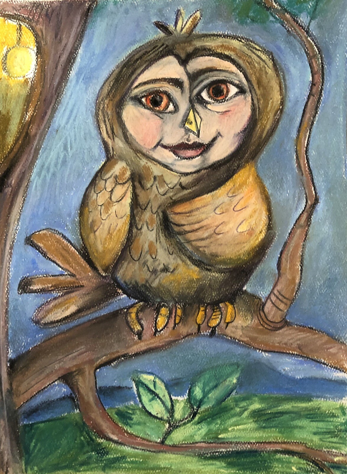 Original Melissa Bollen Owls Person Pastel Drawing Signed Owen People