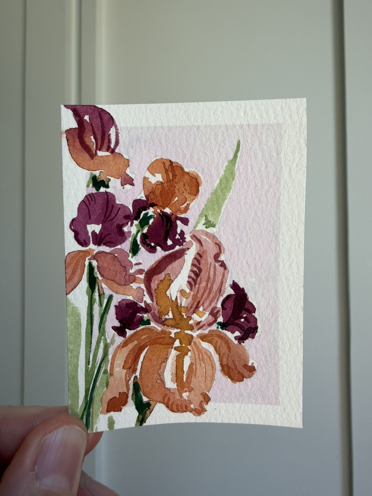 ACEO Original iris flower, abstract botanical illustration floral 2.5×3.5in