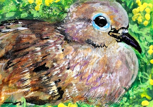 ORIGINAL ACEO Mourning DOVE PAINTING Spring BIRD Animal Landscape Nature ATC ART