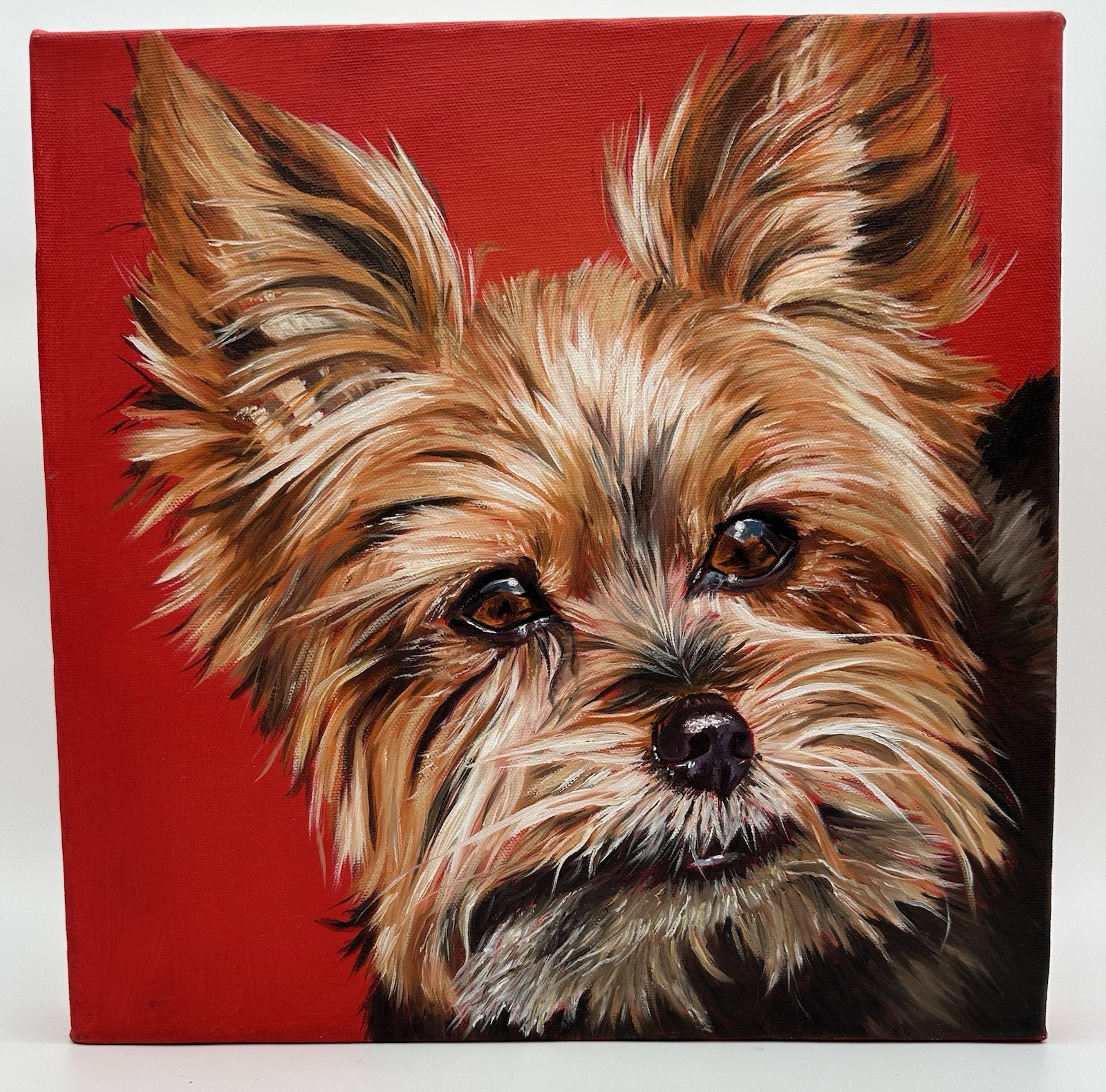 Original April Howland Yorkie Oil Painting Signed By Artist Pet Art 12 X 12